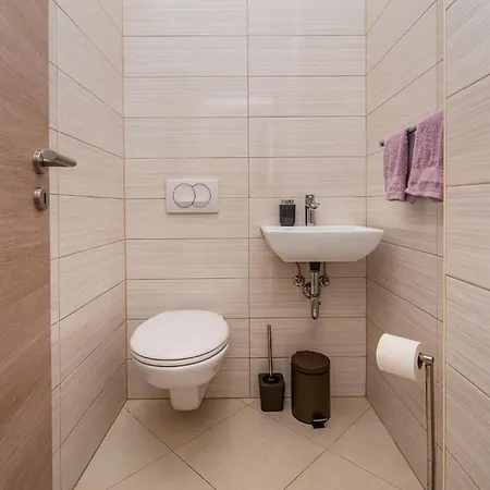 Amazing In Radasinovci With Sauna 度假居
